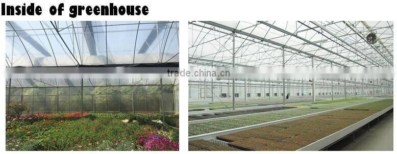 Large Size and Double Layer Inflation Film Multi Span Commercial Prefabricated Greenhouse