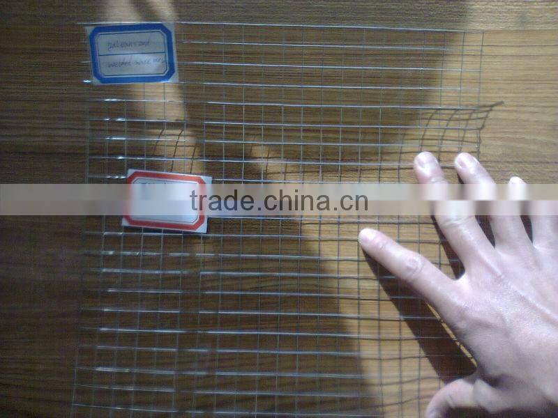 Galvanized Welded Wire Mesh Panel