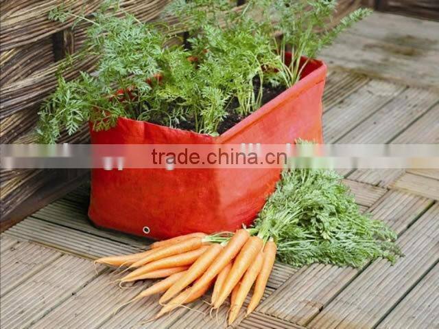 40L Carrot Patio Planter And Growing Bag