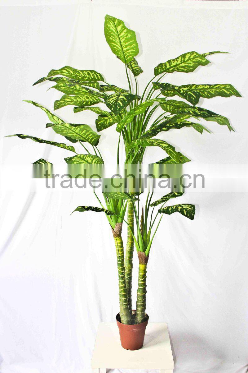 Wholesale indoor use bonsai