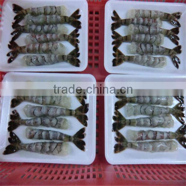 New fired frozen breaded raw fresh water shrimp in good quality