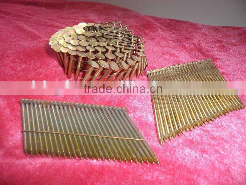 coil nail.china supplier on hot sale china supplier