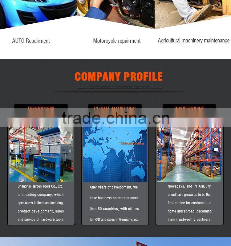 Eco-Friendly Professional Professional Chrome Vanadium Hand Tool 2 IN 1 Screwdriver