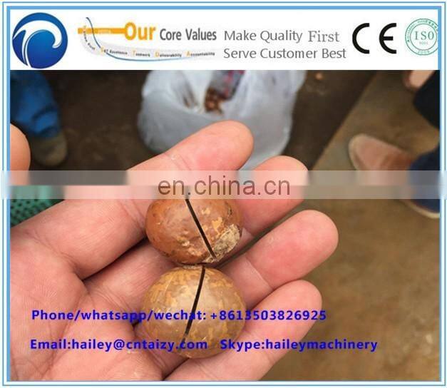 Macadamia Hawaii / queensland nut tapping machine/ new type macadamia nut cracker machine