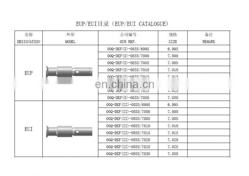 6.995-7.030 EUP EUI electronic unit pump valve for common rail system