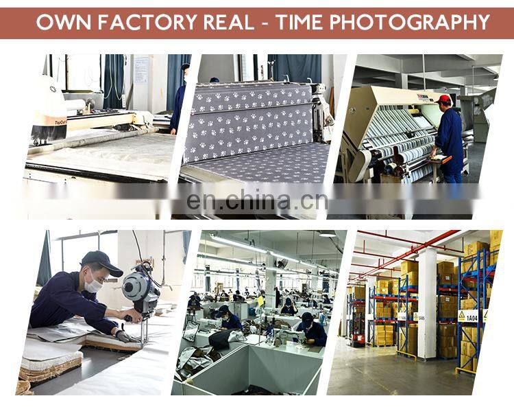 Made In China Quality Fashion Cute Pet Dog Beds Luxury