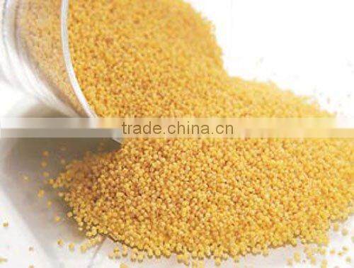 Chinese millet