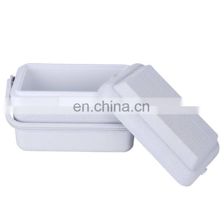 8L Hot Selling Thermal Cheap Small EPS Foam Portable Ice Chest Cooler Box