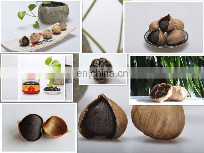 High quality black garlic fermenter machines