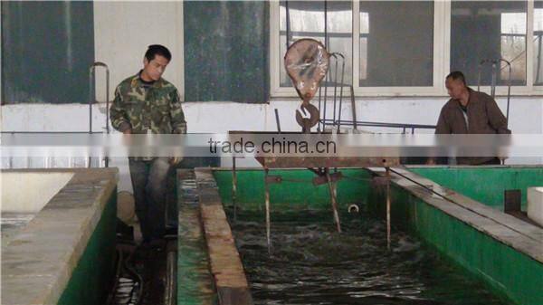 Best selling supermarket shelf/shelves/shelving with ISO