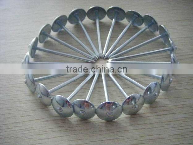 galvanized roofing nails with umbrella head/umbrella head nails /galvanzied roofing nail