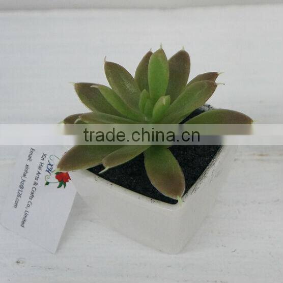 Mini succulents plants natural artificial plants gift high simulation plants