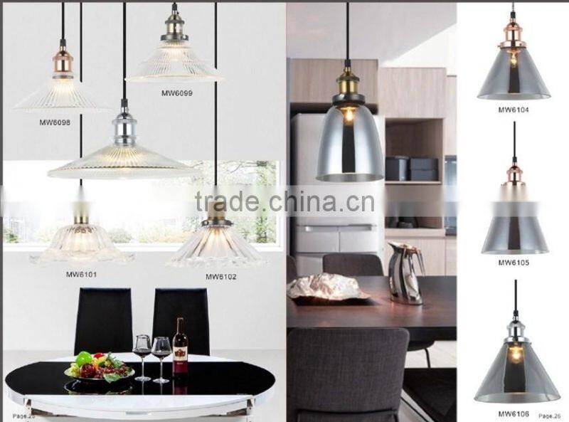 Iron Edison Bulb Suspended Pendant Light
