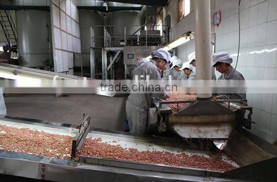 best selling products raw organic peanuts peanut kernels 24/28 peanut kernel price