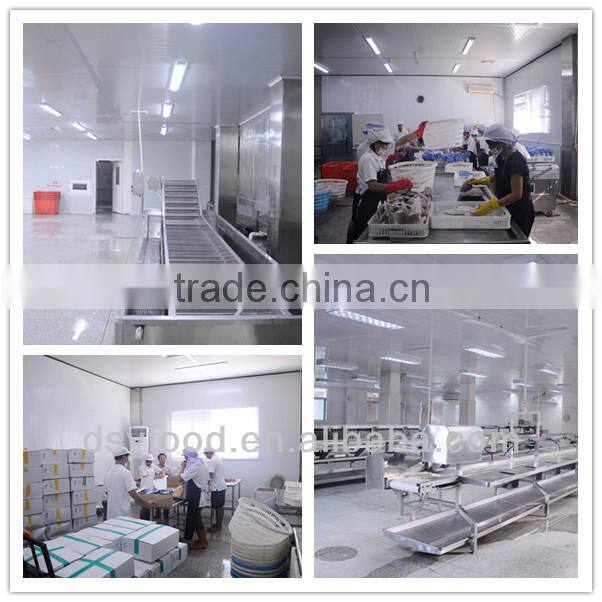 Frozen fresh small whole round red tilapia