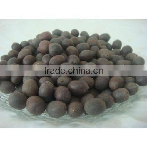 DRIED BLACK LOTUS SEED BEST QUALITY_SPECIAL PRICE