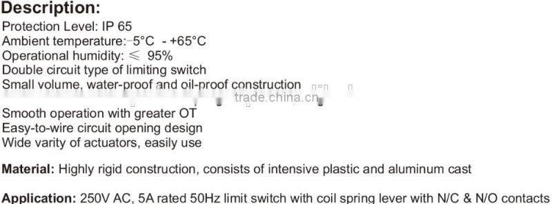 Limit Switch with Coil Spring Lever