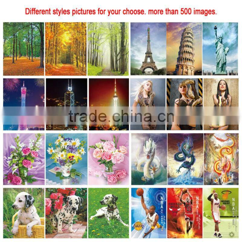 High quality lenticular 3d cartoon animal pictures