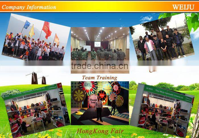 two bottles outdoor picnic insulated cooler wine cooler bag