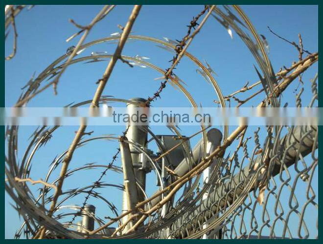 Razor barbed wire (golden factory)