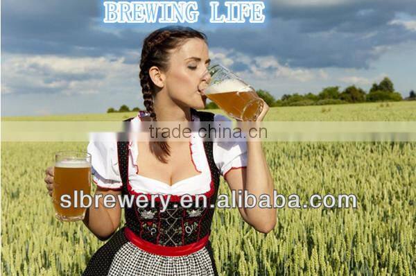 made in china small beer brewing system 200l brewing