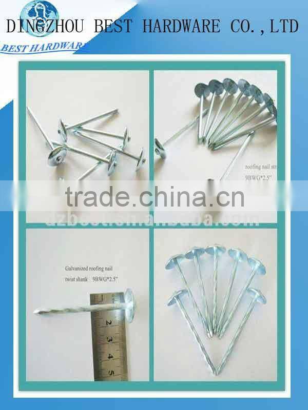 low price galvanizaed roofing nail with umbrella head