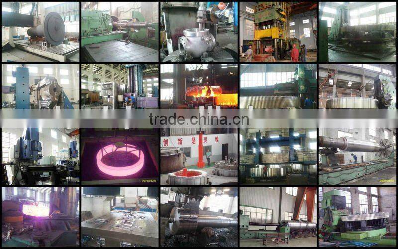 Steel Bevel Pinion Gear