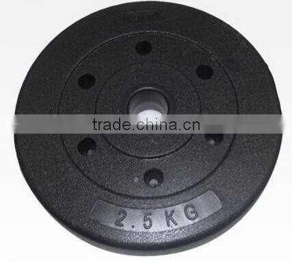 colored crossfit equipment FREE LOGO bumper plates