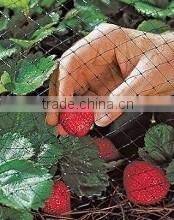 PP anti-bird net(professional factory,reasonable price with high quality)