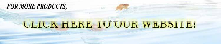 Frozen Atlantic Mackerel Scomber scombrus, Spanish Mackerel