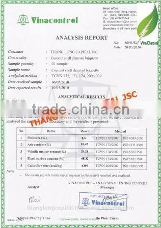 New no chemical barbecue coconut shell charcoal briquettes
