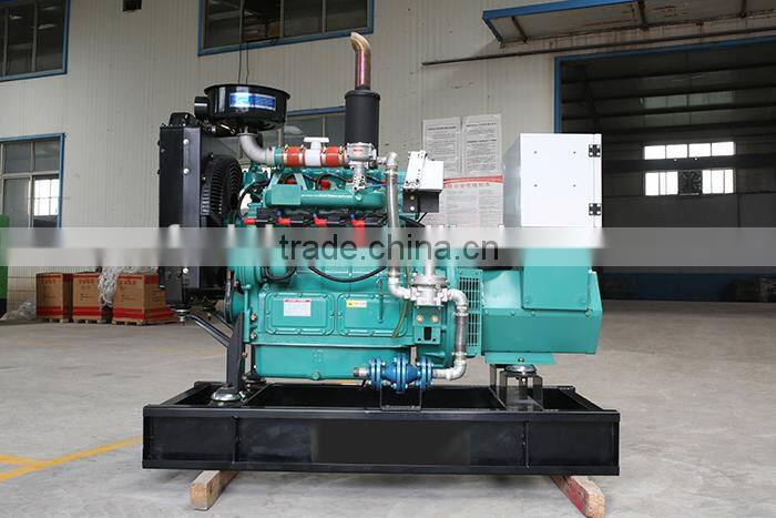 China supplier 2 cylinder 10kw/13.6hp SP2100DT gas engine small biogas generator
