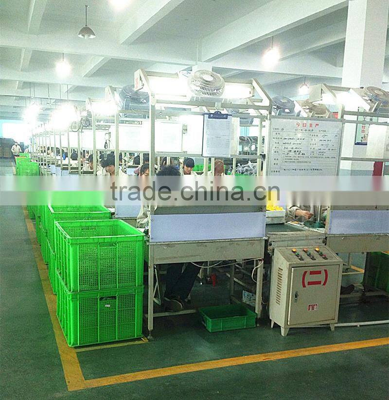 Professional DC motor AC motor Hair Dryer