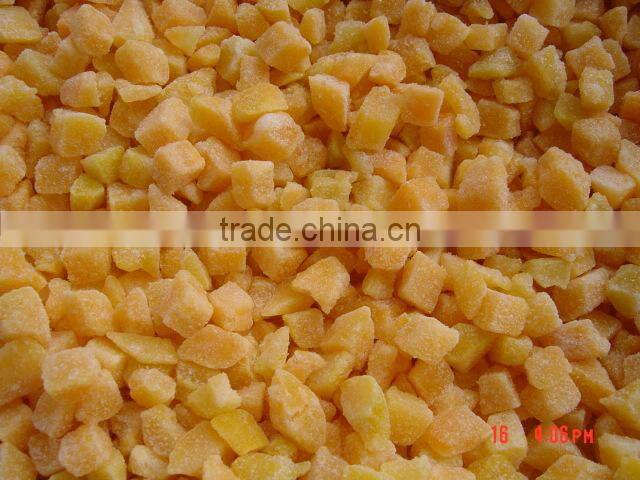 Common Cultivation natural Dried Style apricot seeds