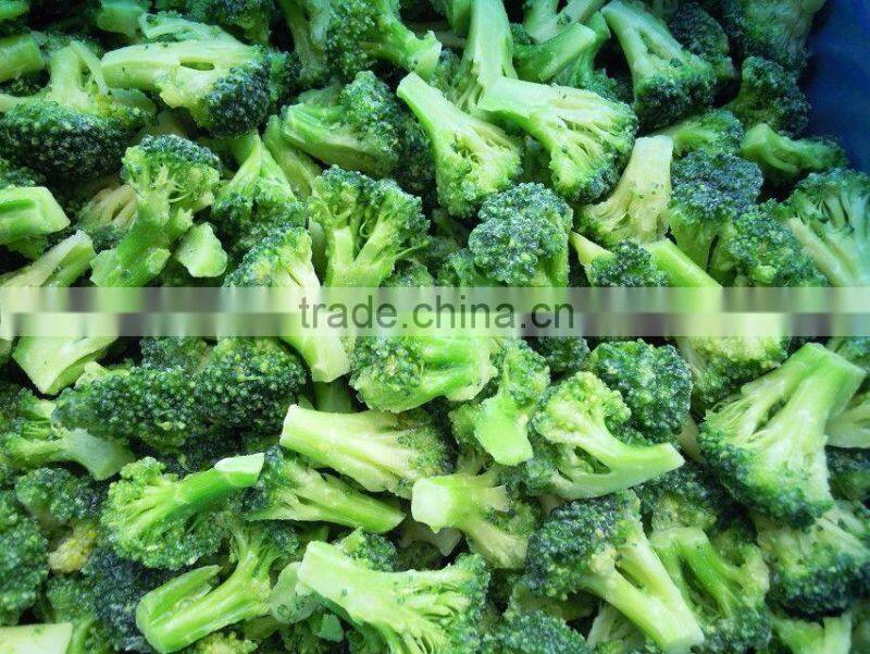 IQF New crop Frozen Broccoli-4-6cm