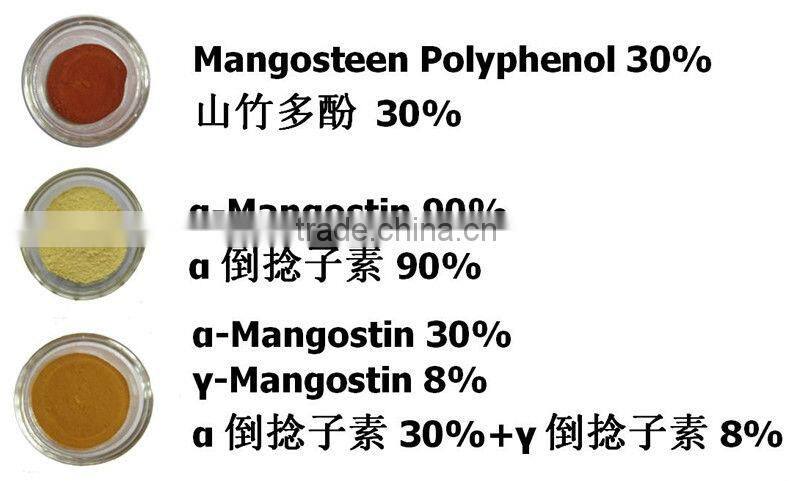 High Quality Mangosteen Extract Powder From Assessment Supplier