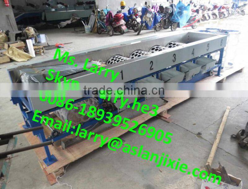 nut size sorting machine/walnut size grader/walnut size sorter