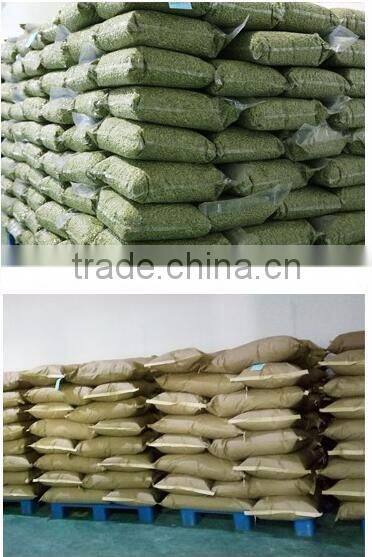 bulk pumpkin kernels grow without shell for oil use export grade