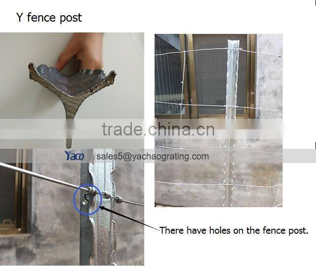 Factory price steel T post for cattle fence
