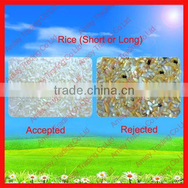 320 Channels Garlic Color Sorting Machine for Sale 0086 371 65866393