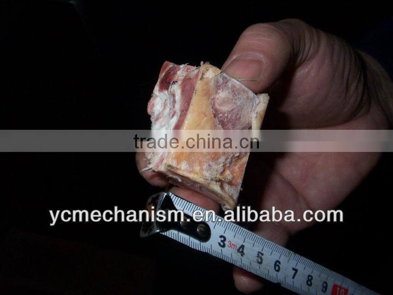 China New Design Salt Brine Injector ZSI-140