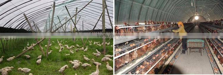 Professional mushroom greenhouse pe surface protective film