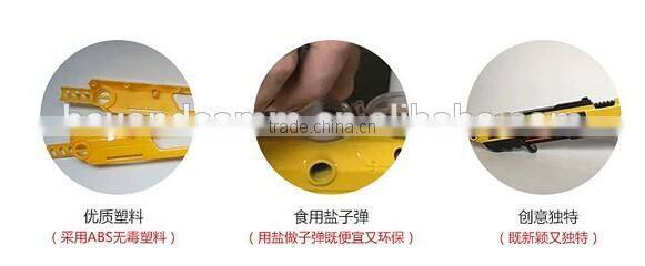 New Salt Gun for Insect Fly