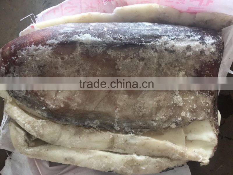 Frozen Seafood Peru Giant Squid Meat/Wing Squid Fillet