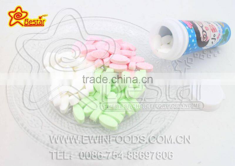 Mint Candy with Fruity Flavor Hard Candy 12g