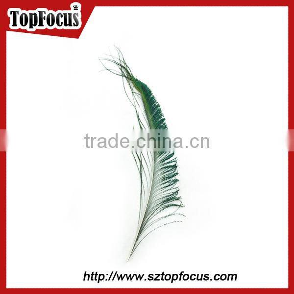 wedding dresses decoration indian wholesale natural peacock feather