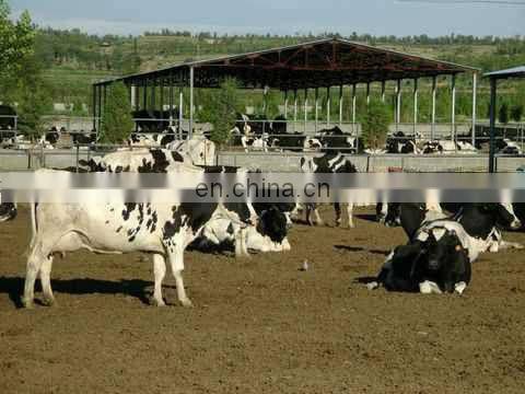 Portable Type/High Quality/Stainless Steel/25l Cow Milking Machine Price