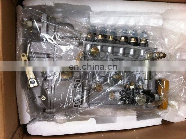Longbeng Fuel Injection Pump BH6P110 (5854) for SHAGCHAI CAT6121