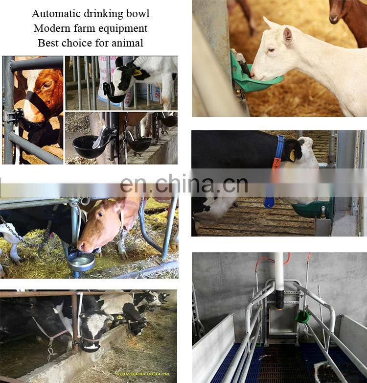 Stainless steel enamel cattle drinking water bowl for cow sheep goat horse