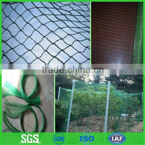 Bird netting,anti bird net,bird netting for sale